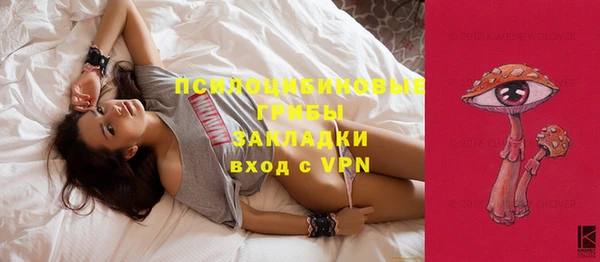 ешки Медвежьегорск
