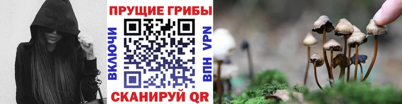 где купить наркотик  Ковров  Псилоцибиновые грибы ЛСД 