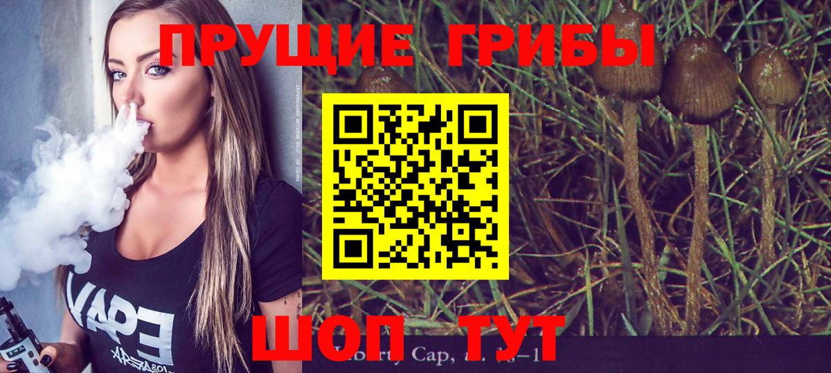 Ковров  Галлюциногенные грибы Psilocybine cubensis  Вход с VPN  даркнет сайт  Псилоцибиновые грибы мухоморы 